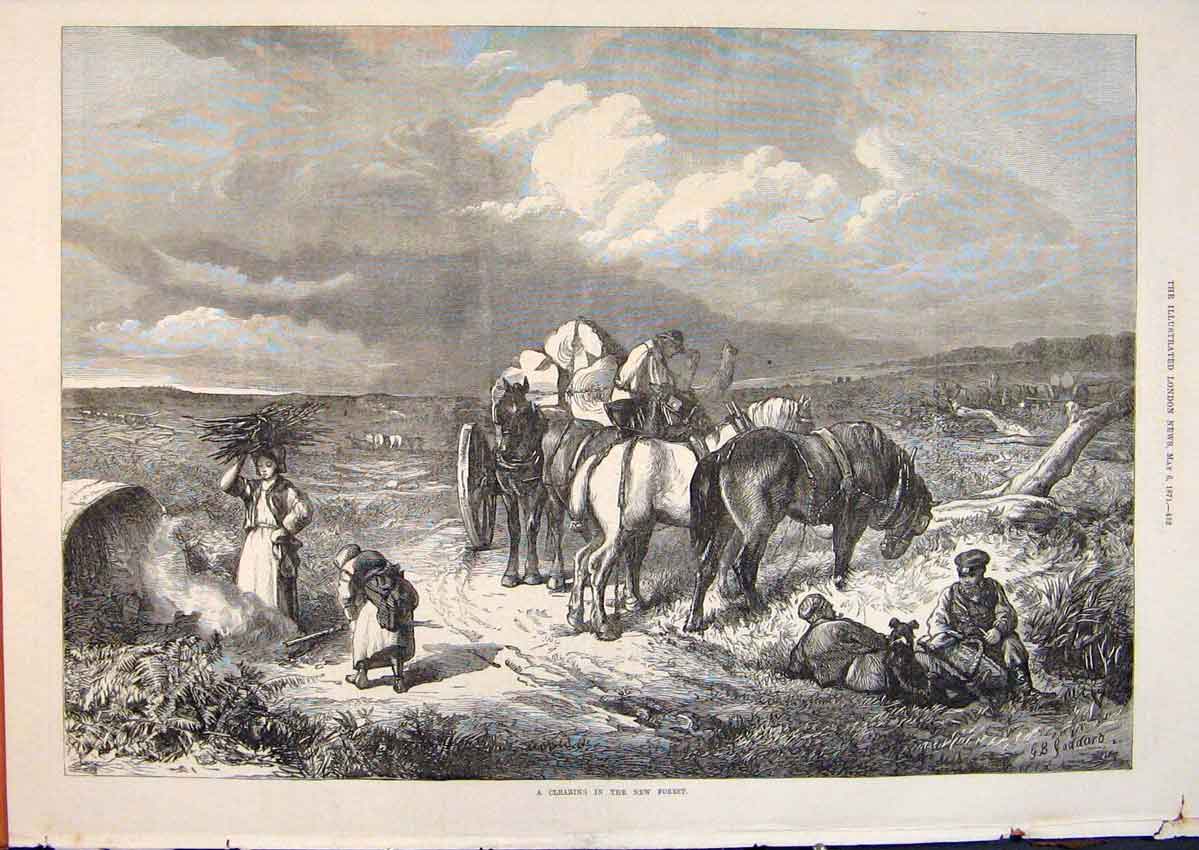 Original Old Antique Print New Forest Ponies Clearing Camp 1871 19th