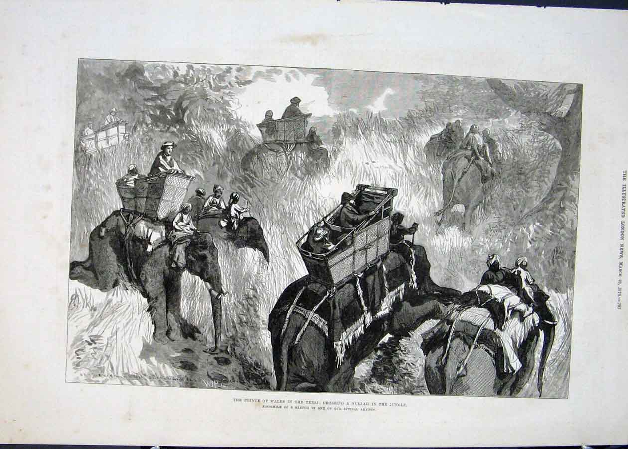 Original Old Antique Print Prince Wales India Jungle Nullah Terai Elephants 1876