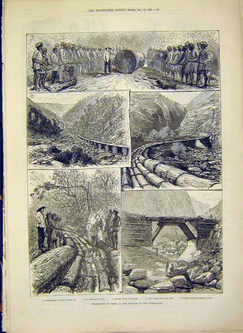 Original Old Antique Print Transport Trees Forest Himalayas Logs 1888 Victorian