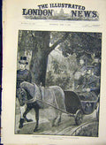 Original Old Antique Print Emperor Germany Park Charlottenburg Hosang 1888 19th