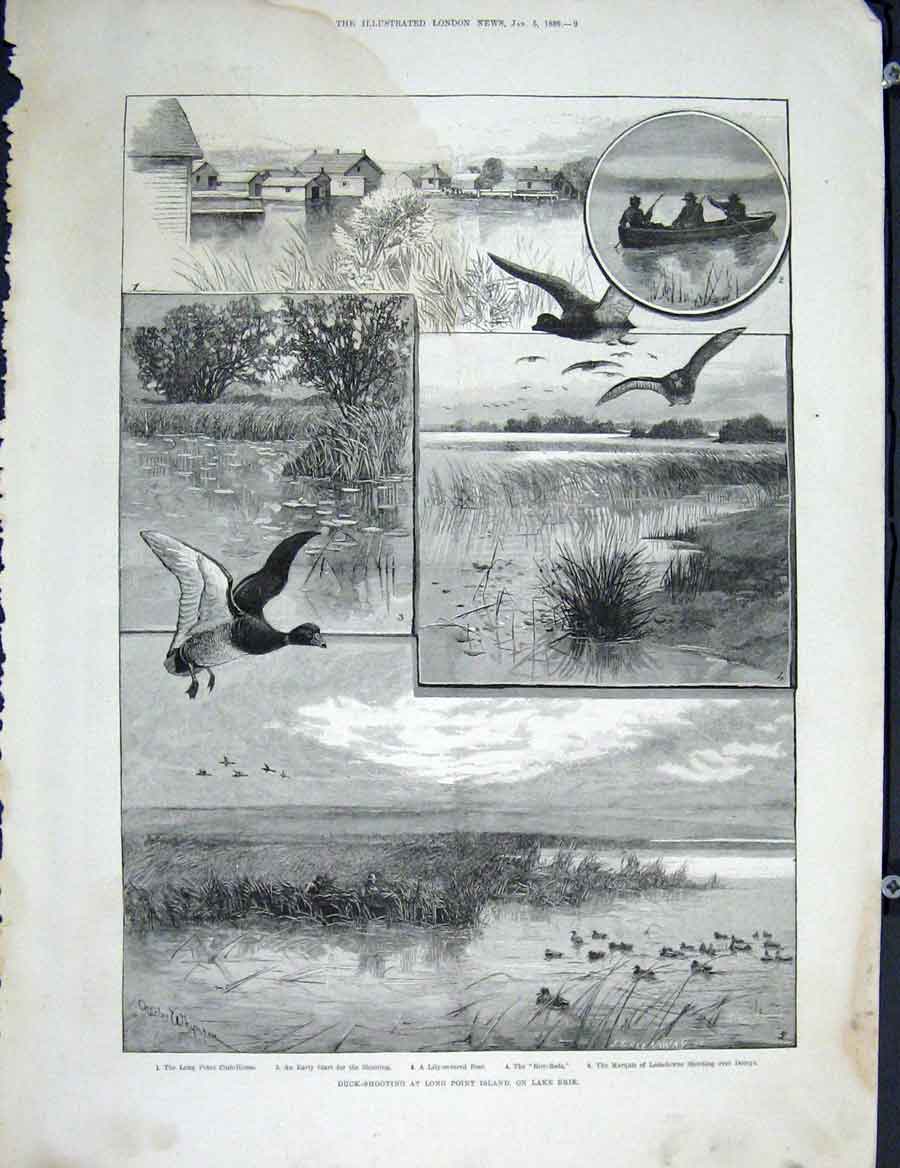 Original Old Antique Print Duck Shooting Long Point Island Lake Eire 1889 19th