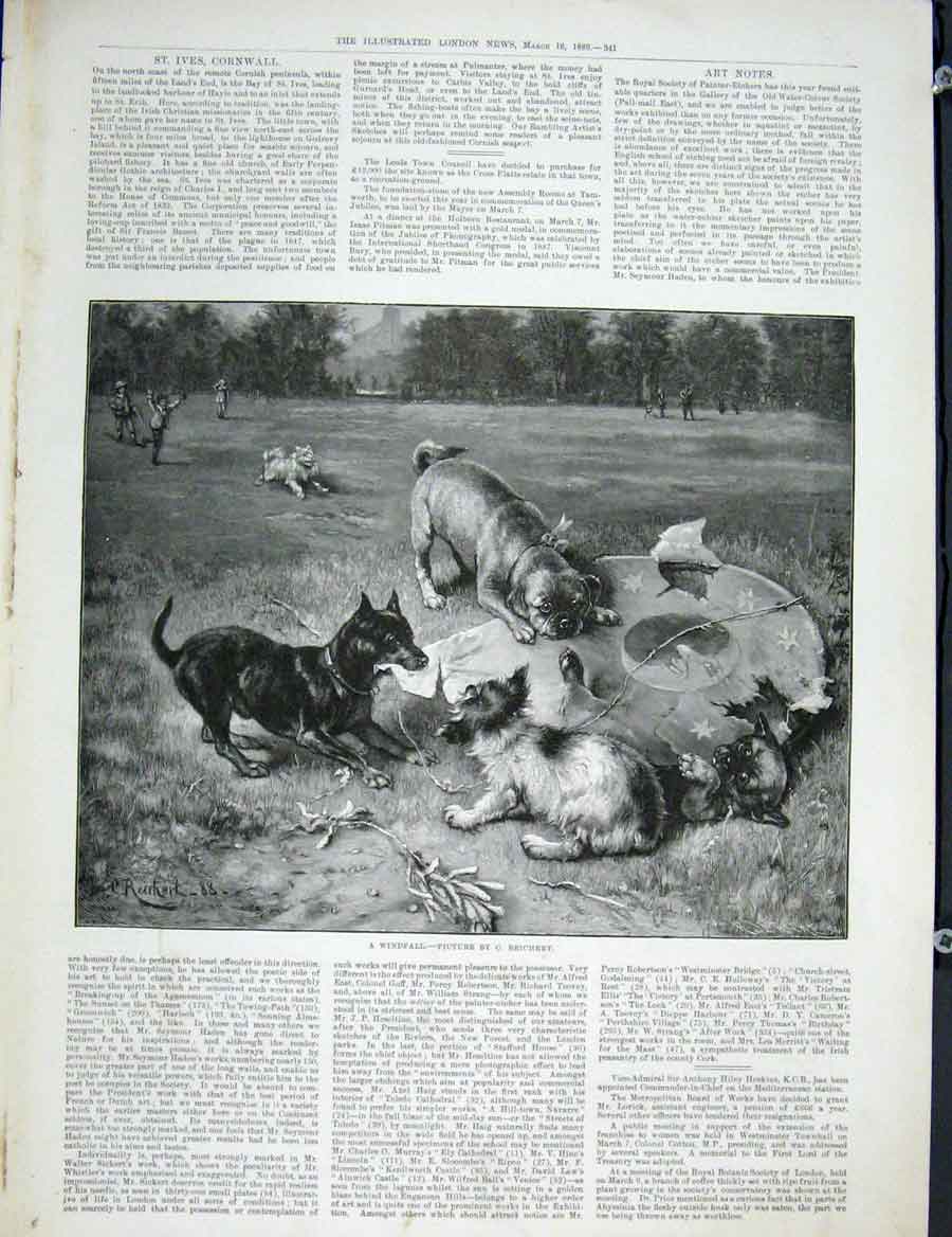 Original Old Antique Print Windfall Reichert Dogs Hat Fine Art 1889 Victorian