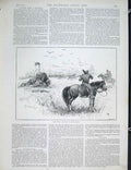 Original Old Antique Print Buffalo Fight South Africa Basutoland 1889 Victorian