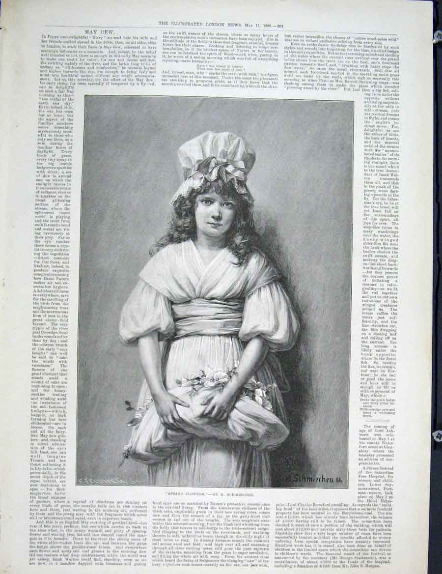 Original Old Antique Print Spring Flowers Schmiechen Fine Art 1889 Victorian