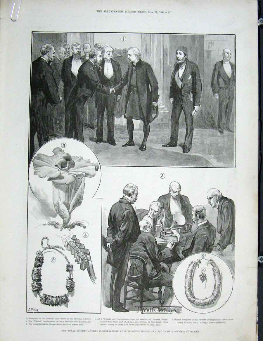 Old Antique Print Burlington House Exhibition Scientific Portrait Royal