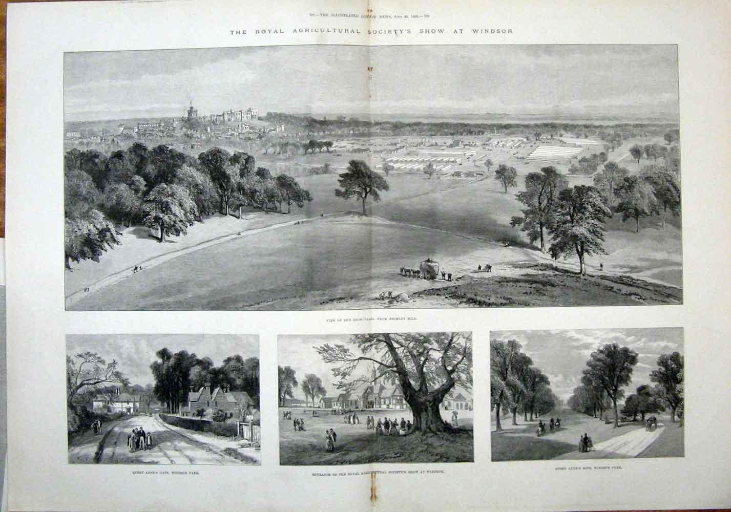 Original Old Antique Print Windsor Royal Society Agricultural Show Park 1889