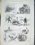 Original Old Antique Print Duck Shooting Manitoba India Shoot 1889 Victorian