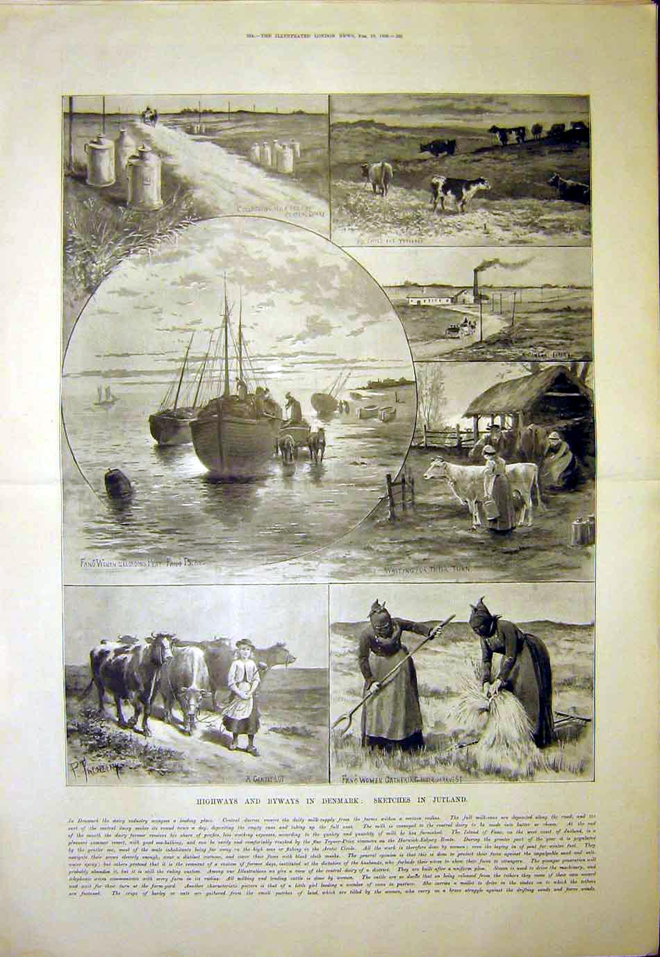 Original Old Antique Print Denmark Sketches Jutland Dairy Industry 1899 19th