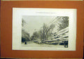 Original Old Antique Print Canada Blizzard Hamilton Street 1899 19th