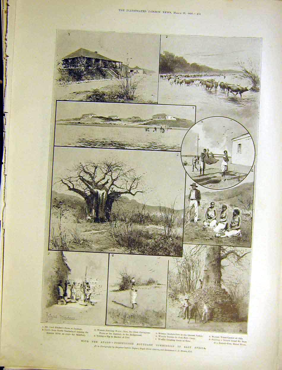 Original Old Antique Print Anglo-Portuguese Boundary Africa Rhodes Baobab 1899