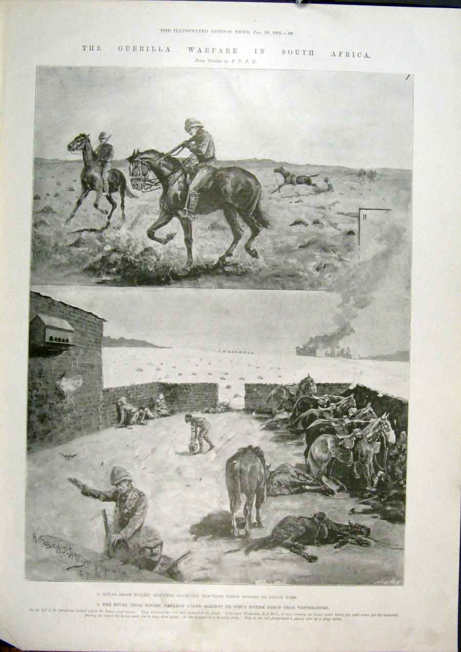 Original Old Antique Print Infantry Irish Horses Guerilla War Africa 1901 20th