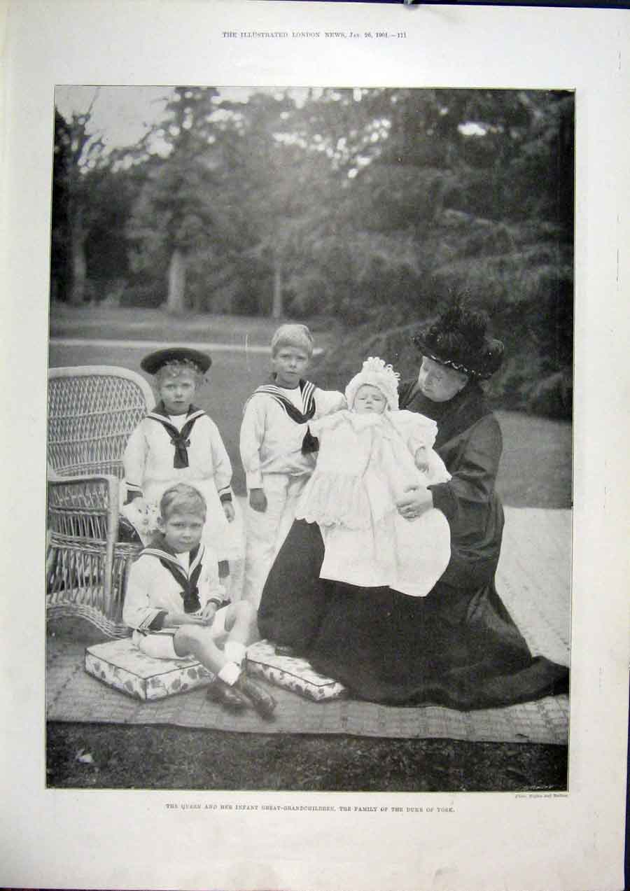 Original Old Antique Print Duke Queen Portrait York Grandchildren Royal Garden