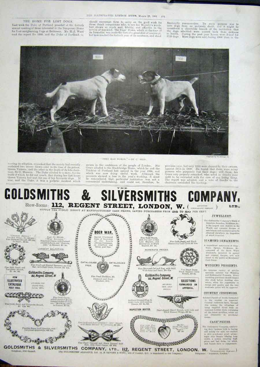 Original Old Antique Print Dogs Fight Words Reid Fine Art 1901 Advert Jewellery