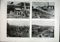 Old Antique Print Sugar Tax Industry Jamaica Natal Africa Queensland 1901 20th