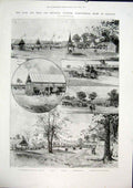 Original Old Antique Print Bath Agricultural Show Croydon London Machinery 1901