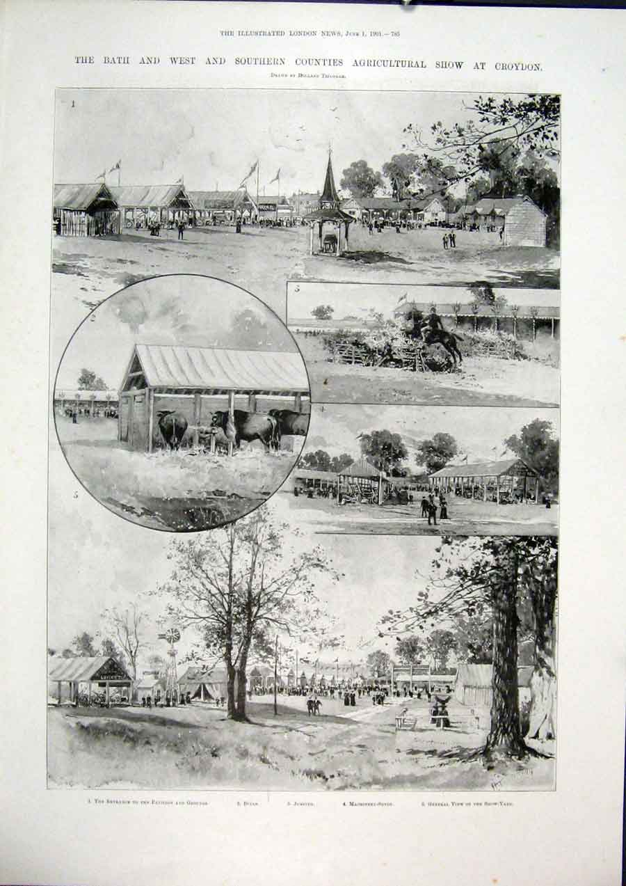 Original Old Antique Print Bath Agricultural Show Croydon London Machinery 1901