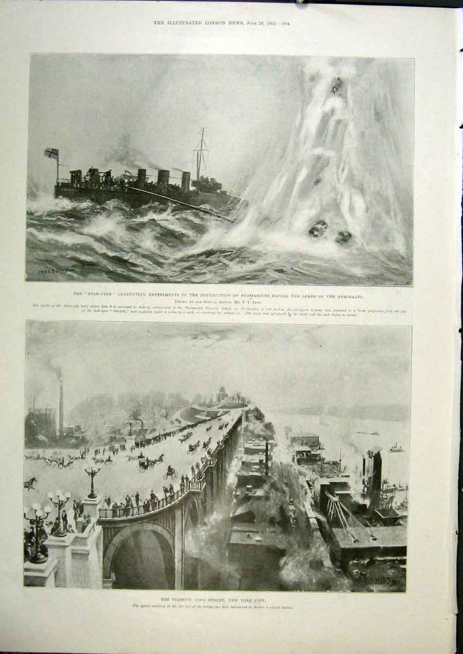 Old Antique Print Star Fish Ship Submarine Viaduct New York America 1901 20th