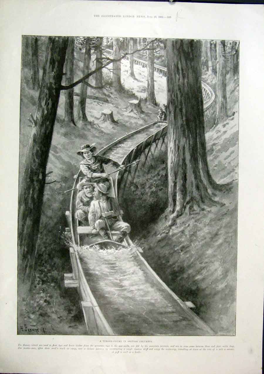 Old Antique Print Timber Flume Columbia Steel Combine Ingot Francisco Usa
