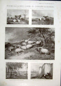 Original Old Antique Print Pictures Royal Academy Landscape Sea Animals Art