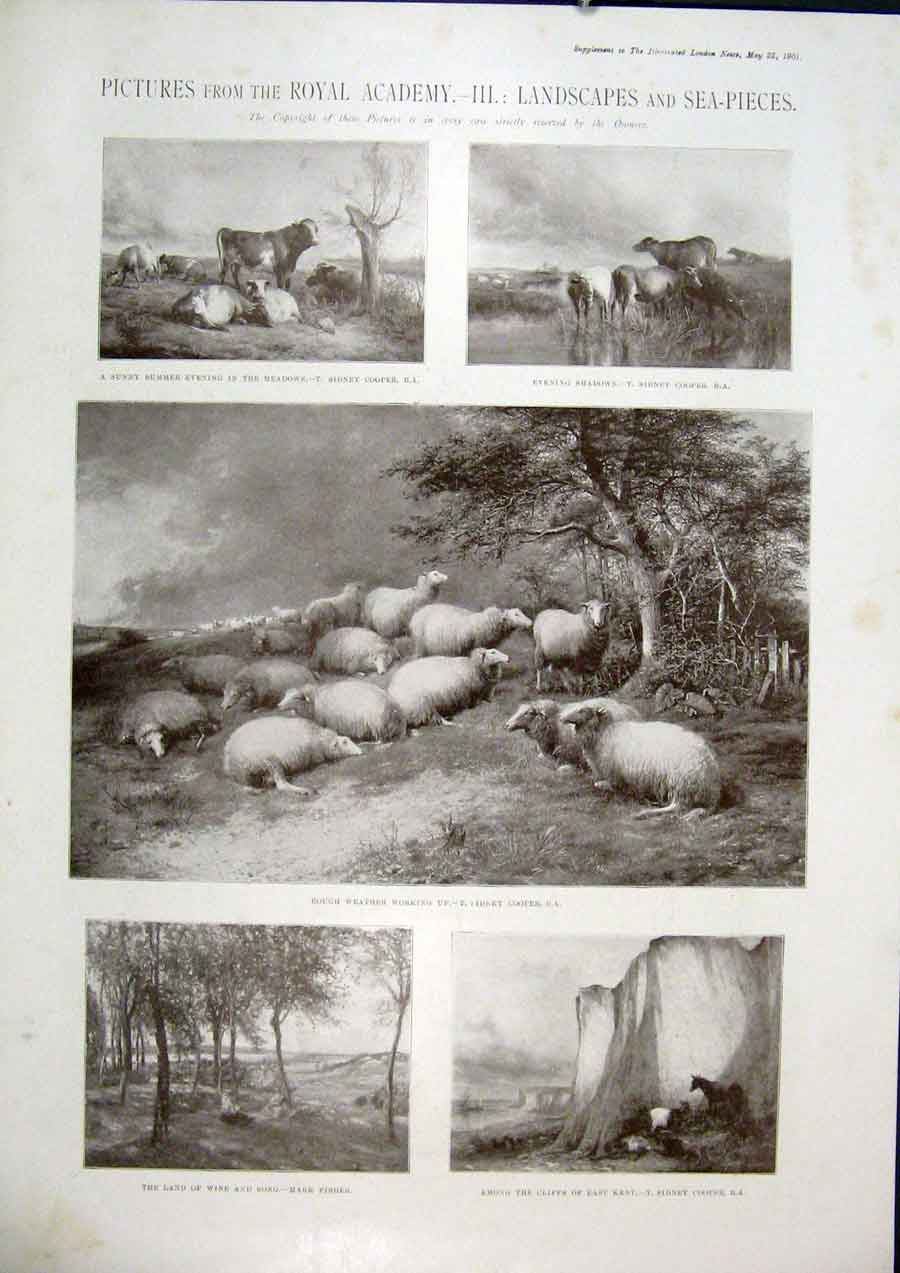 Original Old Antique Print Pictures Royal Academy Landscape Sea Animals Art