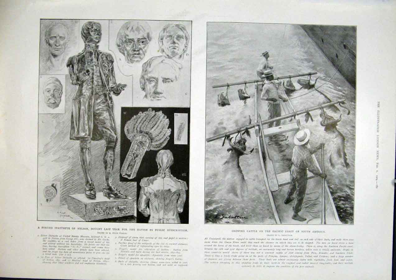 Original Old Antique Print Nelson Statue Garbe Cattle Shipping Ship Pacific 1904