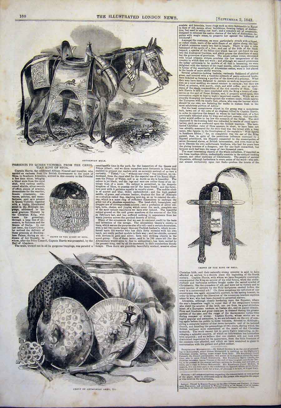 Original Old Antique Print Abyssinian Mule Shoa Queen King Ethopia 1843 19th
