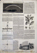 Old Antique Print Lunar Rainbow Bullock Goodwin Night-Shade Flower Church