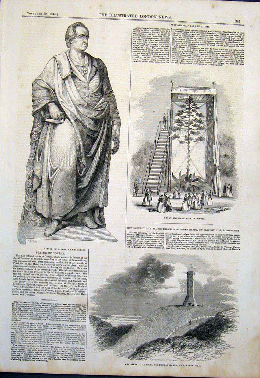 Old Antique Print Statue Goethe Frankfort Aloe Monument Thomas Hardy 1844 19th