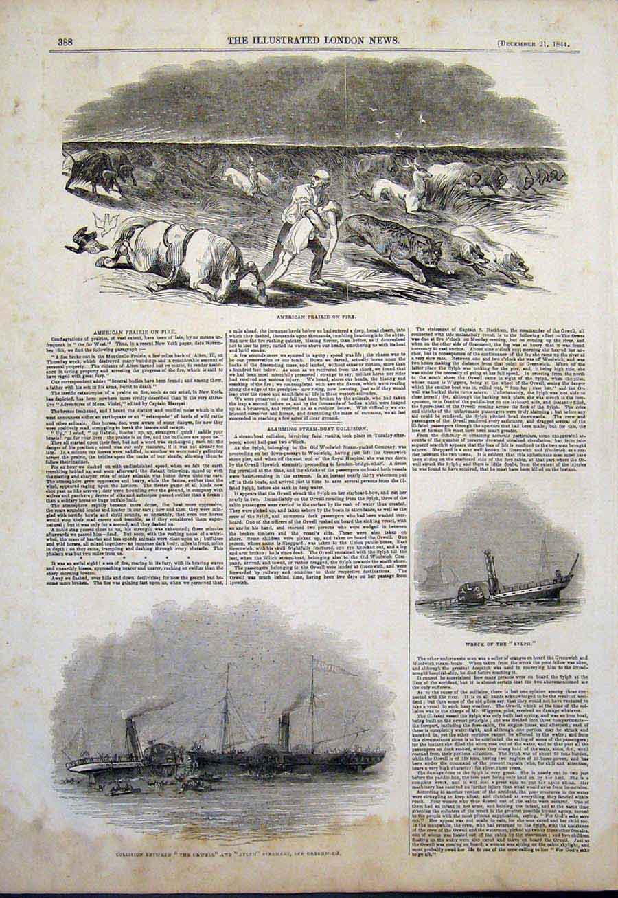 Old Antique Print American Prairie Fire America Orwell Sylph Steamers Sea