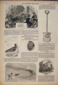 Original Old Antique Print Poem Woodcock Herschel Ludlow Castle Spade Peel Trent