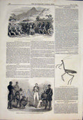 Original Old Antique Print Kaffir War Africa Zulu Natal Giraffe Cricket Mantis