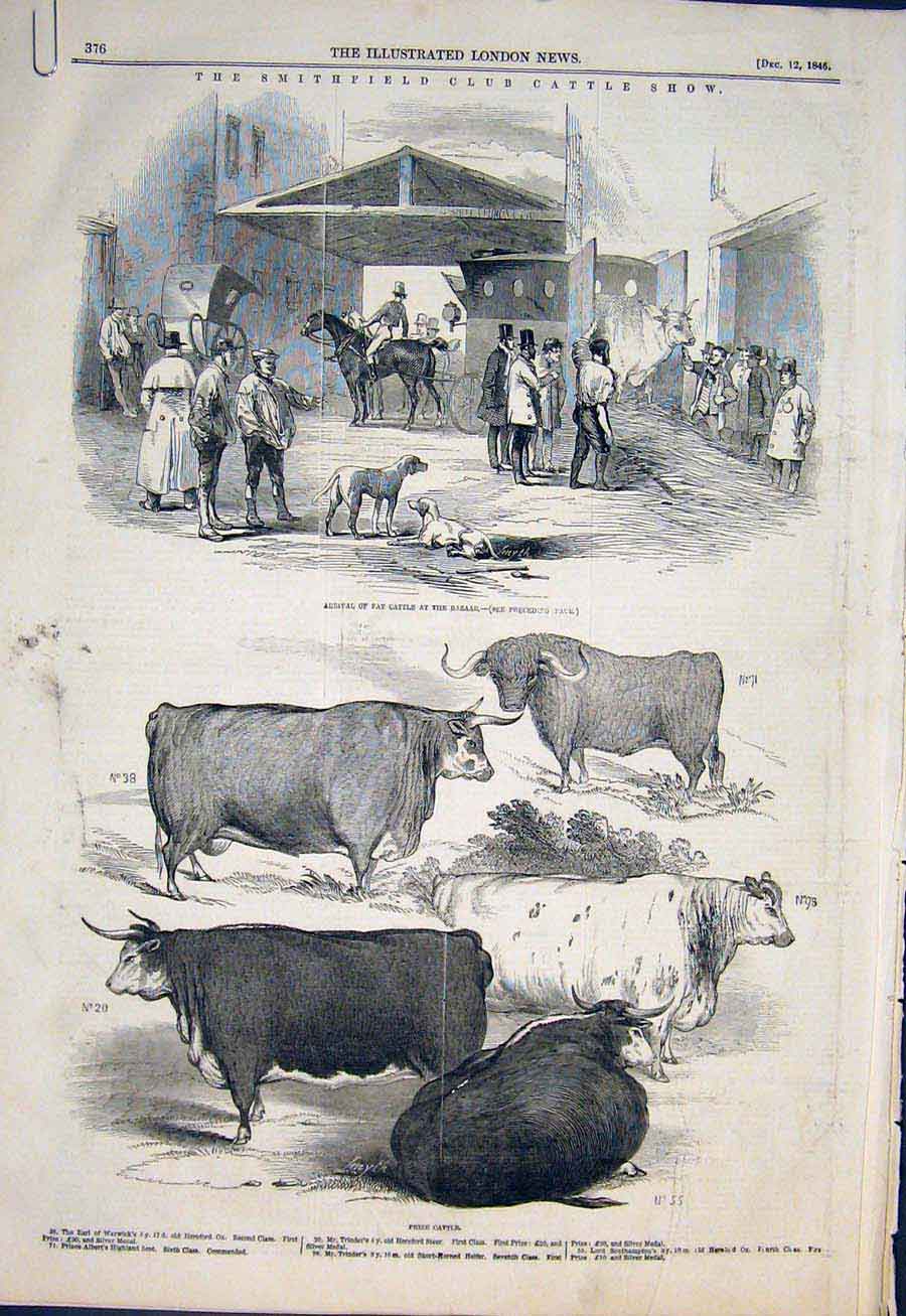 Original Old Antique Print Smithfield Cattle Show Bazaar Sheep 1846 Victorian