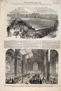 Old Antique Print York Royal Agricultural Society Guildhall Cattle 1848 19th