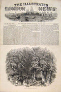 Original Old Antique Print Goodwood Races Park Forest 1848 19th