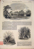 Original Old Antique Print Strathfieldsay Duke Wellington Walmer Castle 1852