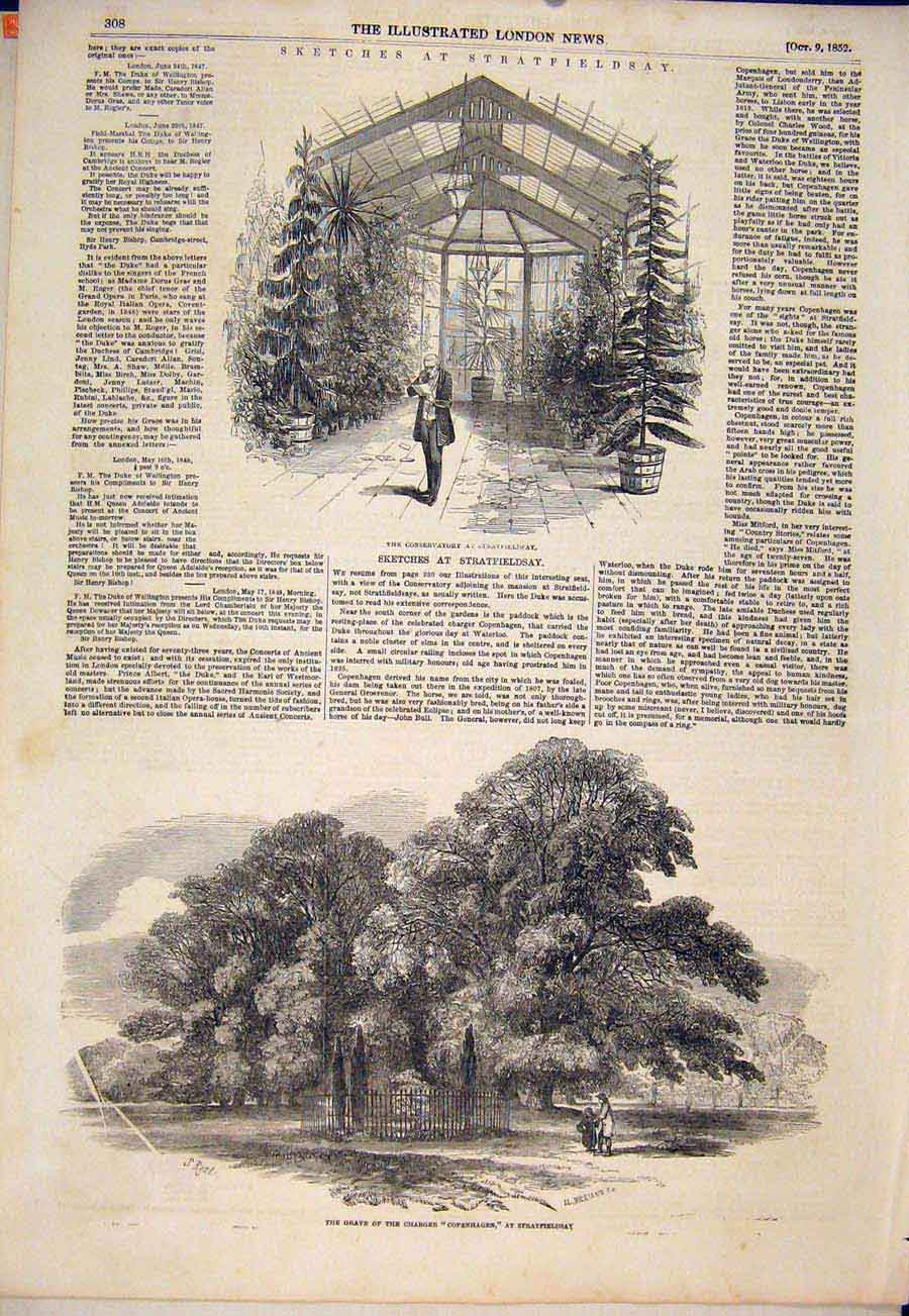 Original Old Antique Print Stratfieldsay Sketches Conservatory Copehagen Grave