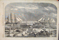 Original Old Antique Print Cattle Trieste Auxillery Army Military 1854 Victorian
