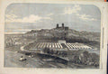 Original Old Antique Print Royal Agricultural Society Lincoln Cattle Show 1854