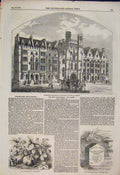 Original Old Antique Print Westminster Strawberry Whityngton Stone Whittington