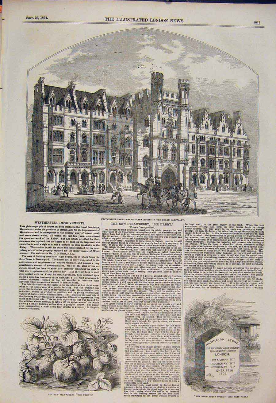 Original Old Antique Print Westminster Strawberry Whityngton Stone Whittington