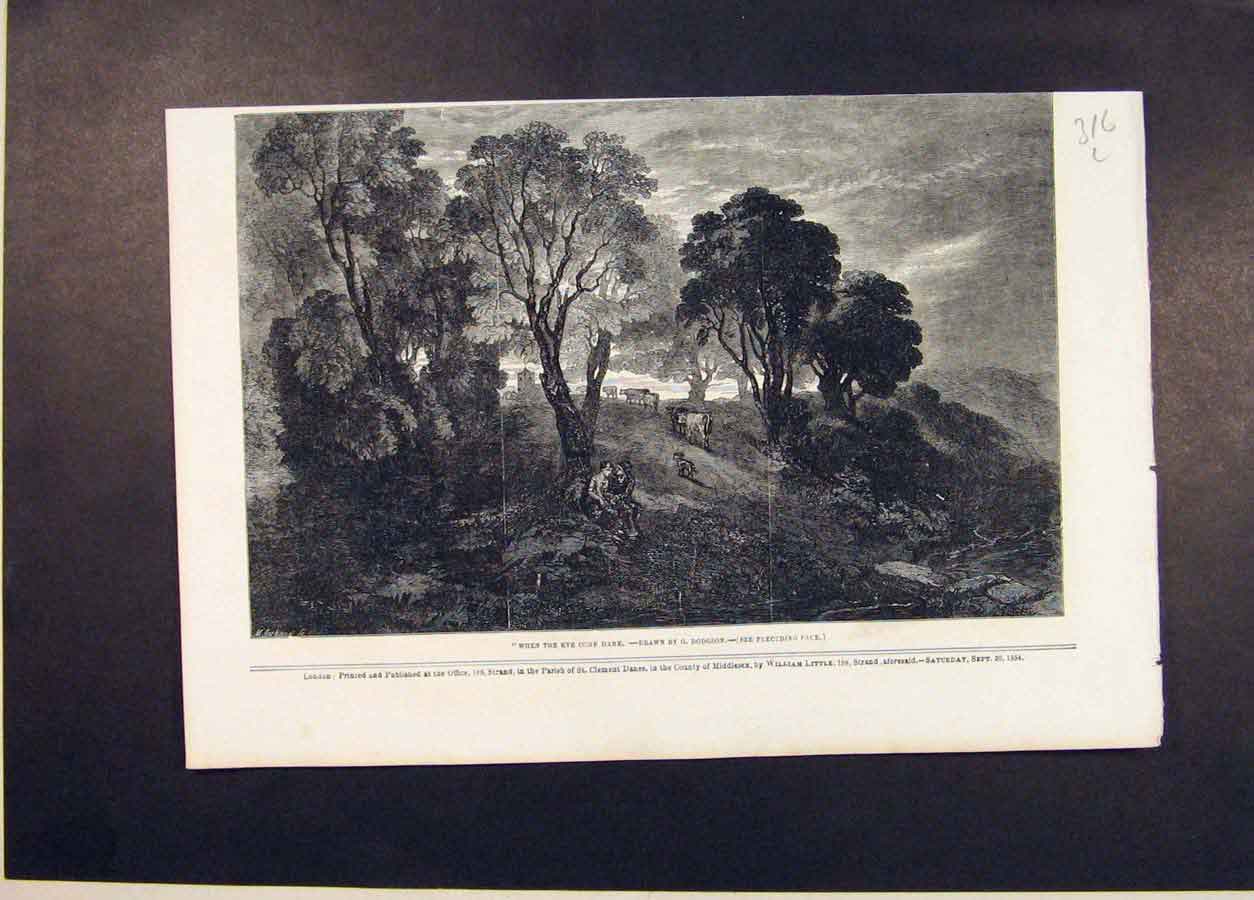 Original Old Antique Print Cow Cows Home Dodgson Farm Fine Art 1854 Victorian