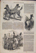 Original Old Antique Print Hunting Dogs Zoo Sheep Punjaub Cavalry Corps 1854