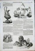 Old Antique Print Roman Relics Lions Zoo Hendon Church Stamford Race 1855 19th