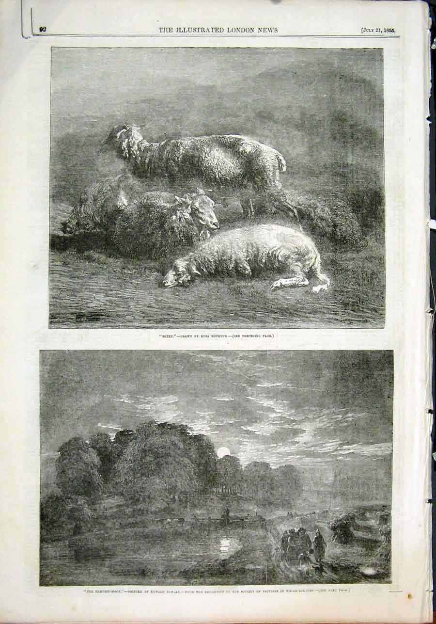 Original Old Antique Print Sheep Bonheur Harvest Moon Duncan Lauder Goodall Art