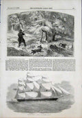 Original Old Antique Print Grouse Shooting Shoot Nova Scotia Ocean Monarch 1855
