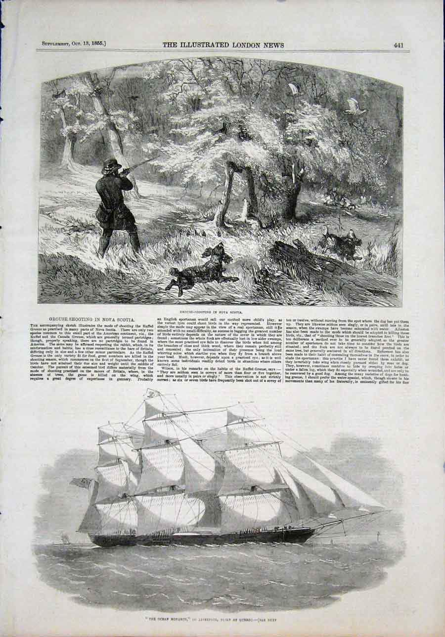 Original Old Antique Print Grouse Shooting Shoot Nova Scotia Ocean Monarch 1855