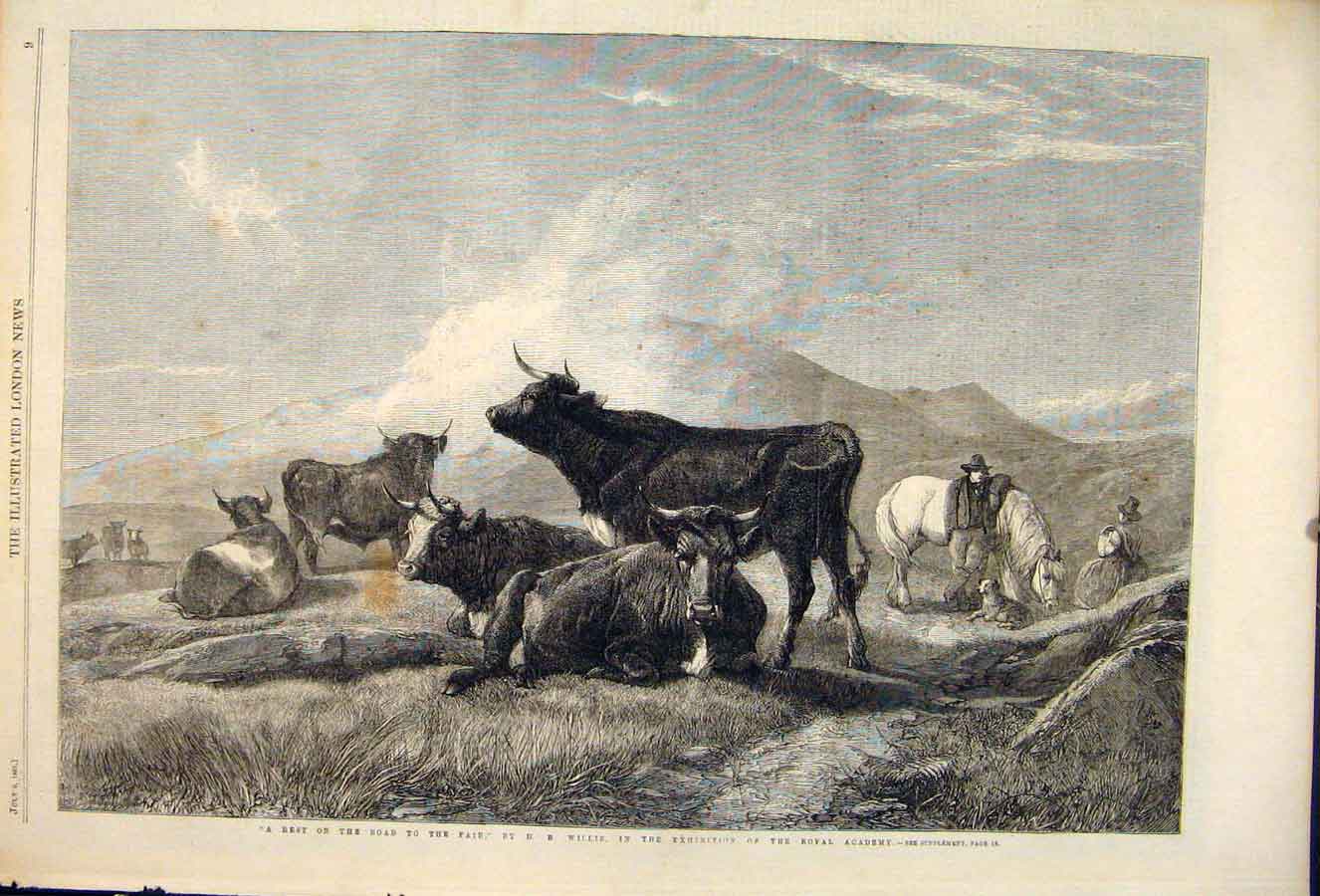 Original Old Antique Print Fair Cattle Willis Road Fine Art 1861 Royal Academy