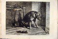 Old Antique Print Suspense Dog Dogs Hound Landseer Kensington Museum 1861 19th