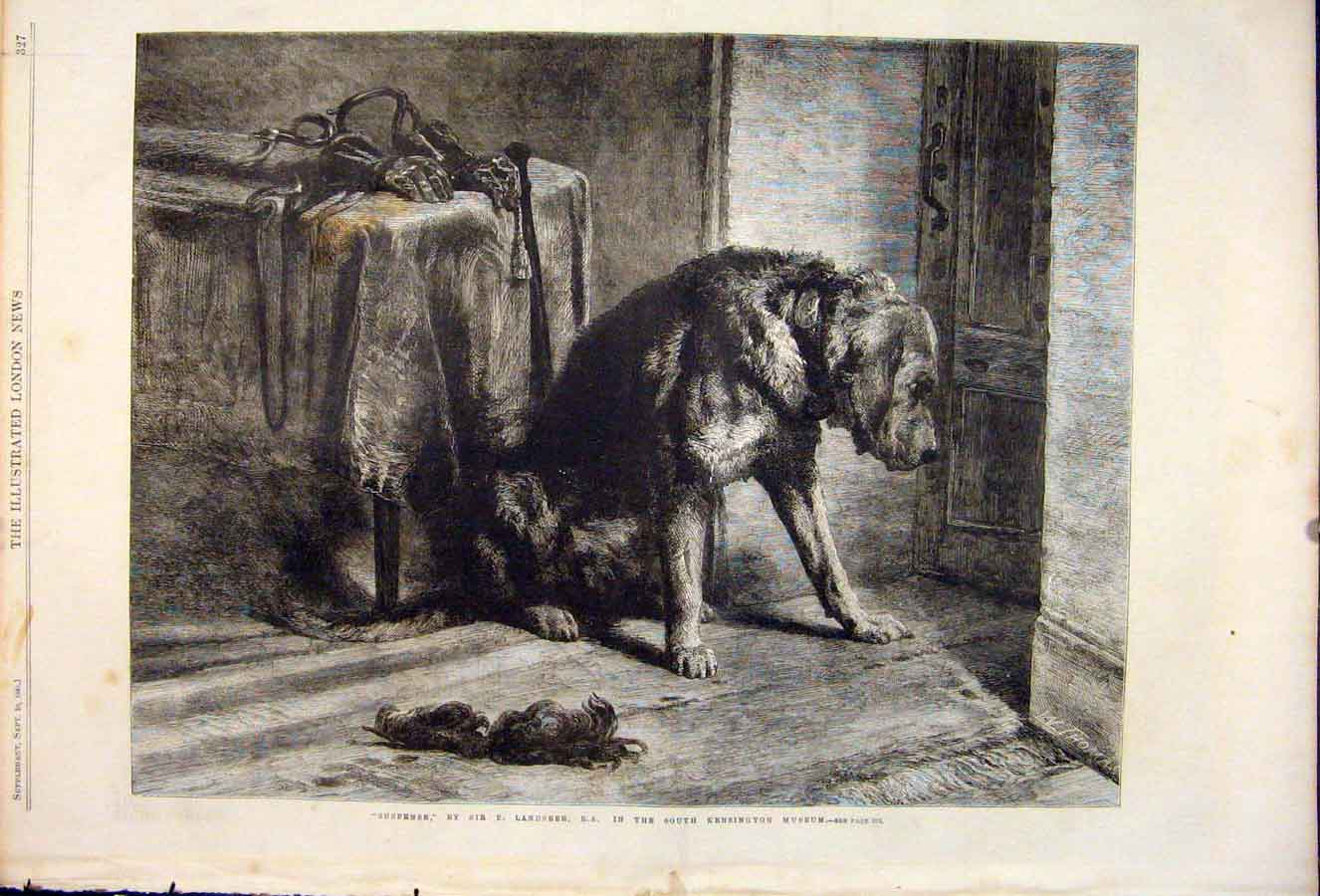 Old Antique Print Suspense Dog Dogs Hound Landseer Kensington Museum 1861 19th