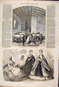 Original Old Antique Print Cattle Italian Exposition Florence Paris Fashion 1861